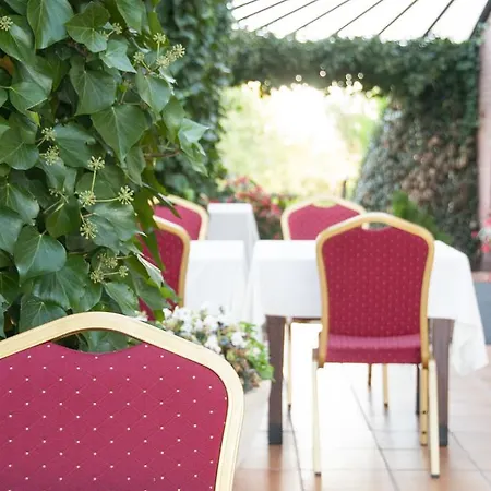 Hotel Puig Solsona